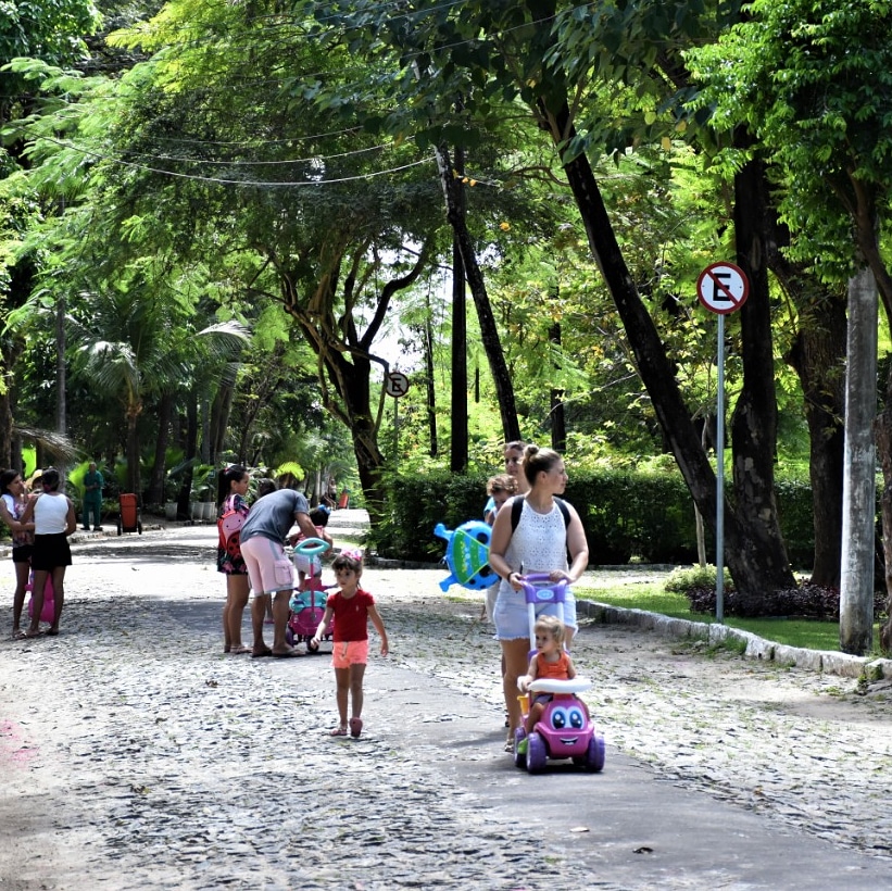 Mulheres caminhando em parque com crianças