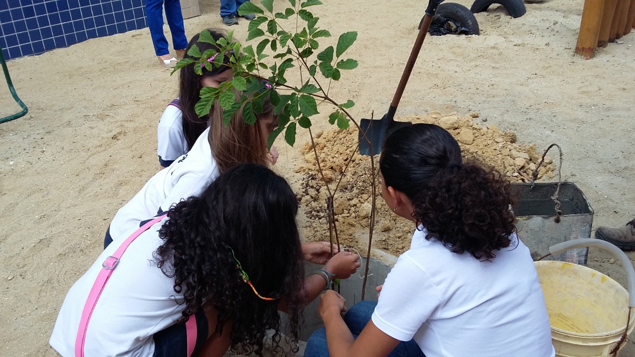 Crianças participam de plantio em atividade de educação ambiental promovida pela Regional II.