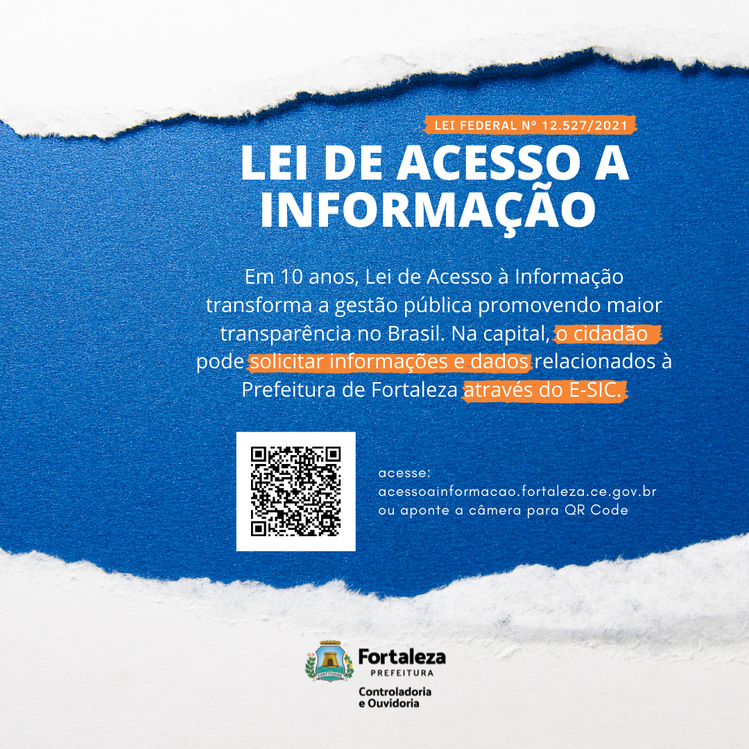 Infográfico com dados