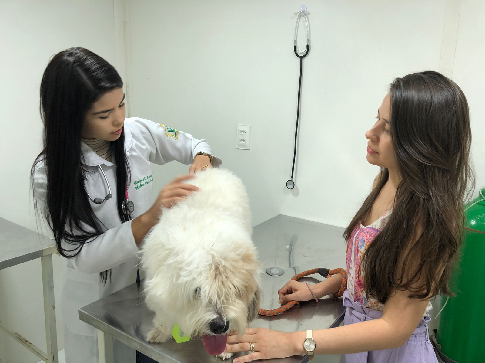 Veterinária consulta cachorro