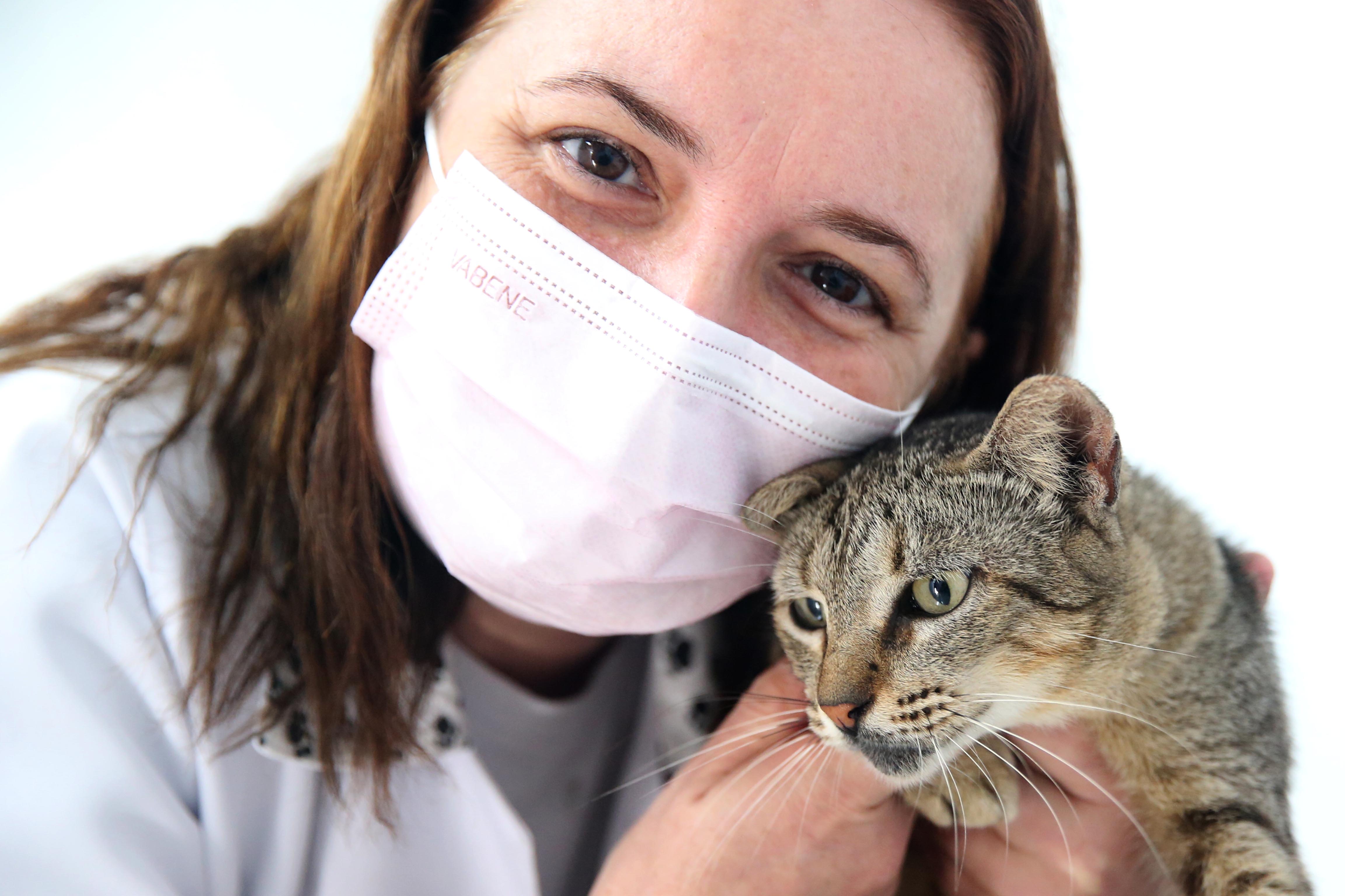 Veterinária consulta gato em VetMóvel