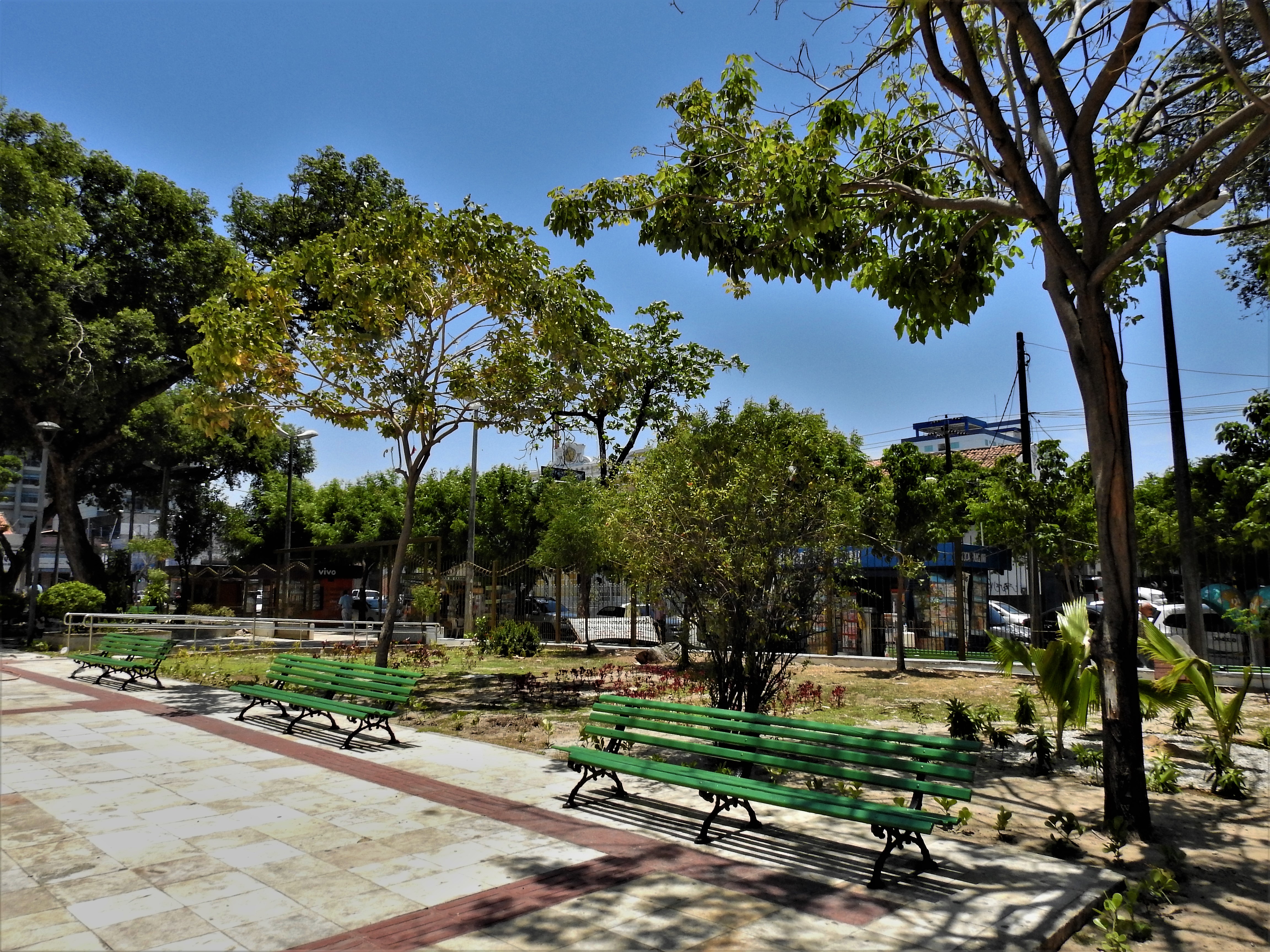 Praça em Fortaleza sendo sombreada por árvores verdes, em Fortaleza