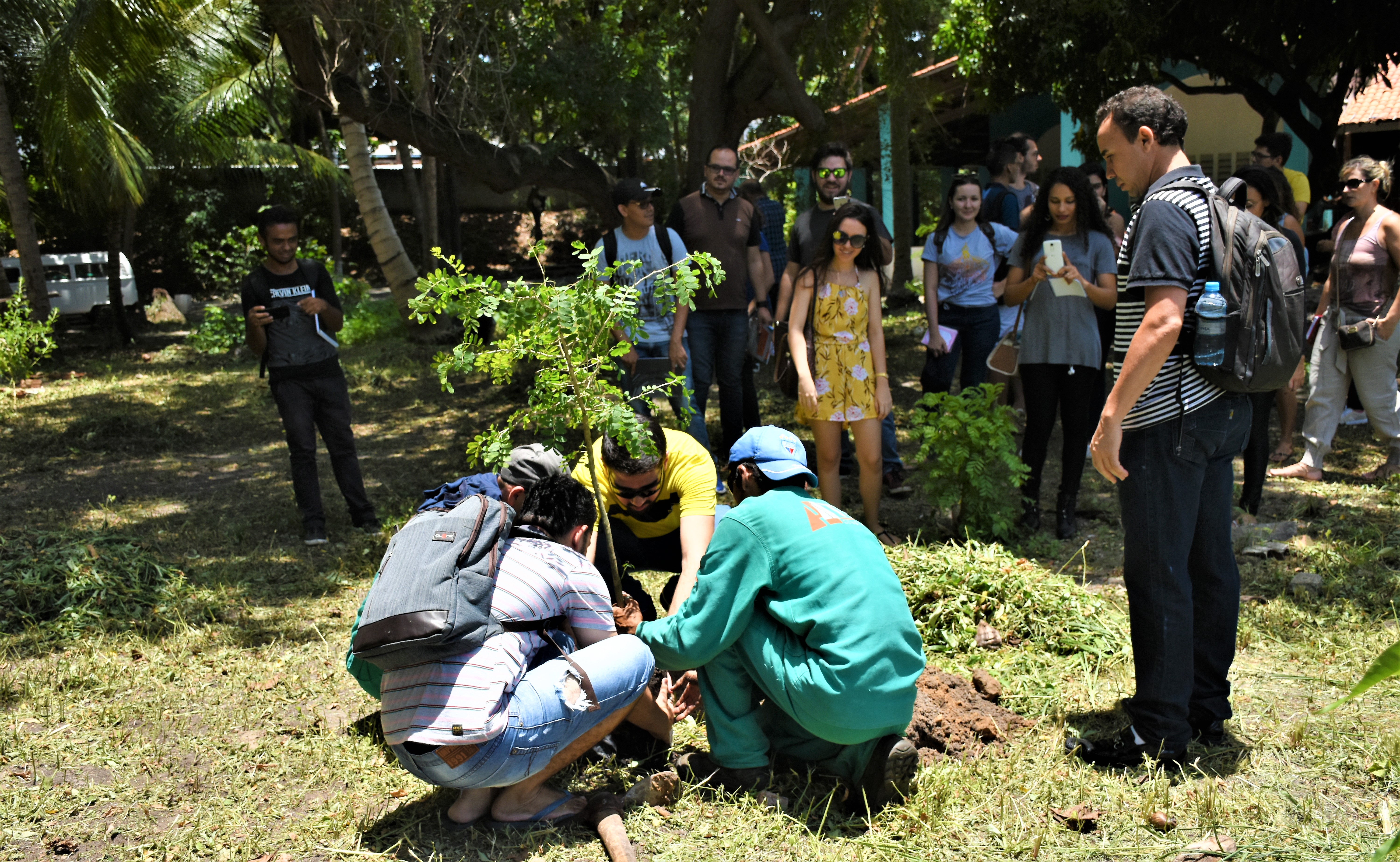 No Parque Rio Branco estão sendo executados serviços de jardinagem e limpeza, além do plantio de 200 mudas de árvores nativas