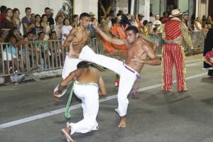 O &Oacute;rg&atilde;o